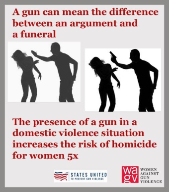 Image result for guns and domestic violence